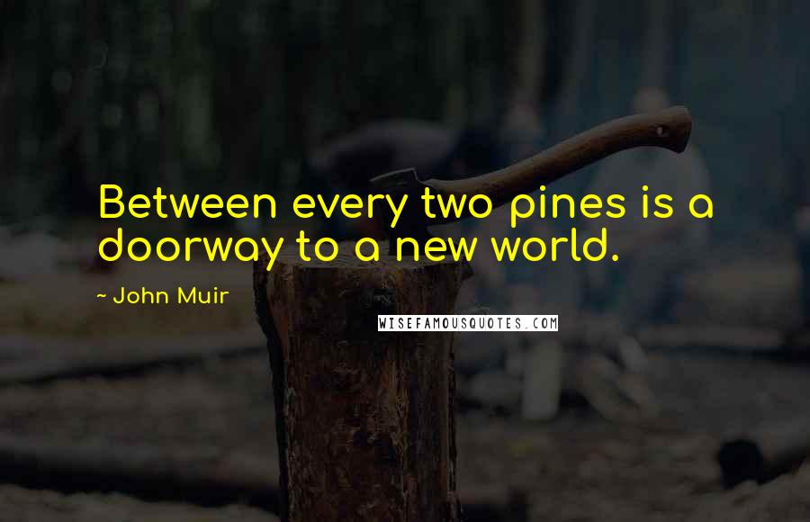 John Muir Quotes: Between every two pines is a doorway to a new world.