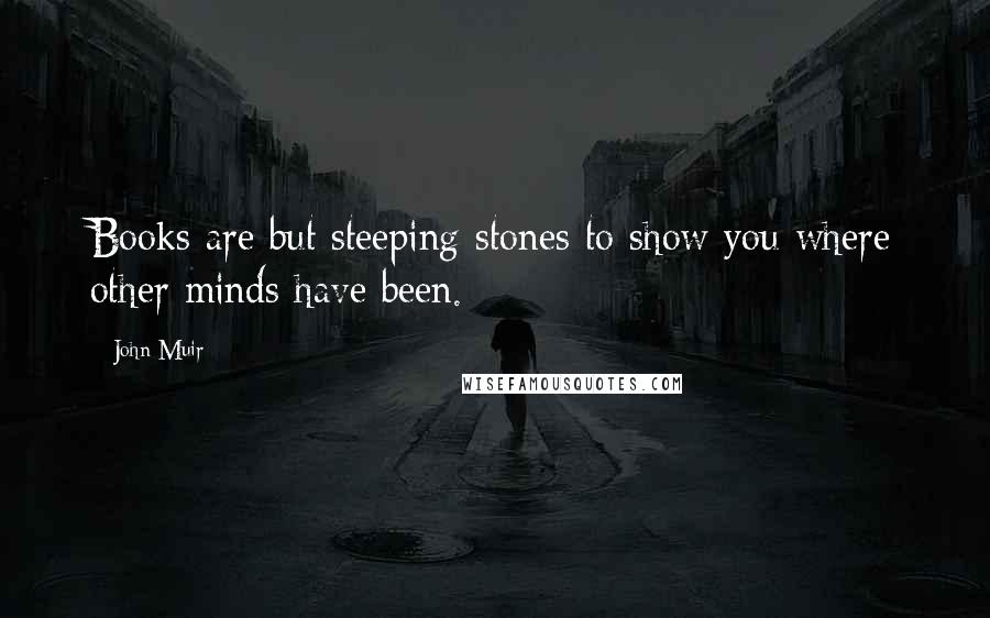 John Muir Quotes: Books are but steeping stones to show you where other minds have been.