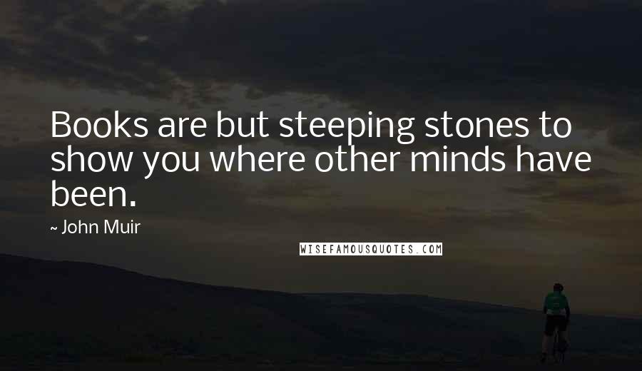 John Muir Quotes: Books are but steeping stones to show you where other minds have been.