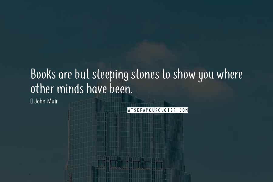 John Muir Quotes: Books are but steeping stones to show you where other minds have been.