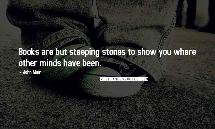 John Muir Quotes: Books are but steeping stones to show you where other minds have been.