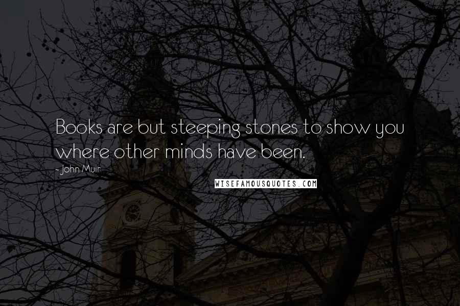 John Muir Quotes: Books are but steeping stones to show you where other minds have been.