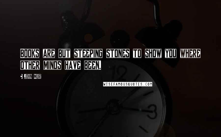 John Muir Quotes: Books are but steeping stones to show you where other minds have been.