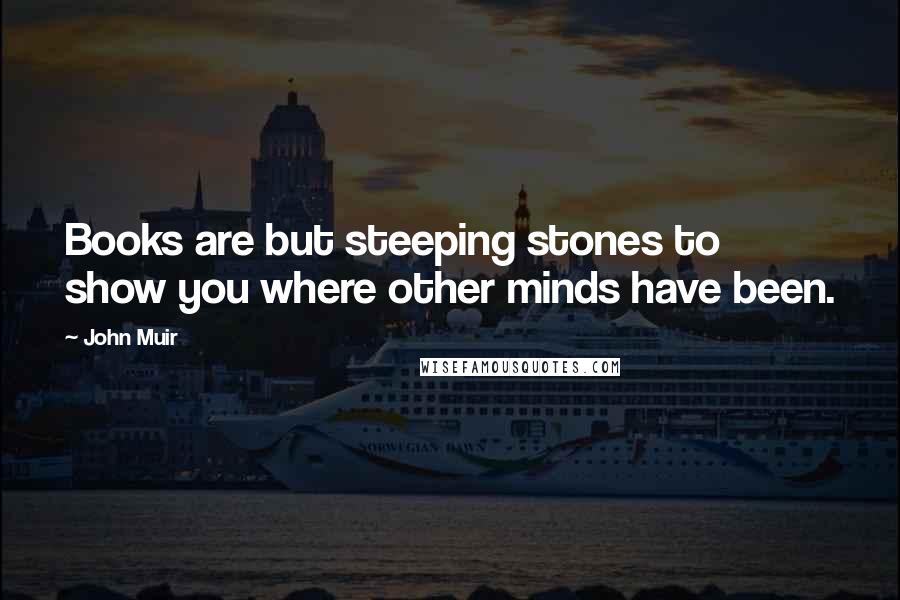 John Muir Quotes: Books are but steeping stones to show you where other minds have been.