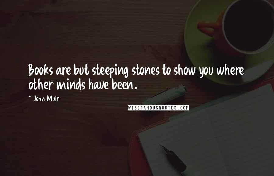 John Muir Quotes: Books are but steeping stones to show you where other minds have been.