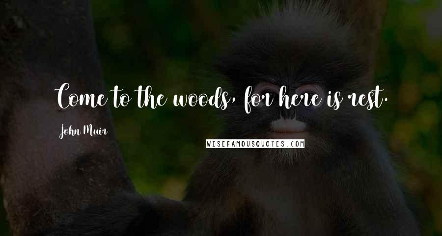 John Muir Quotes: Come to the woods, for here is rest.