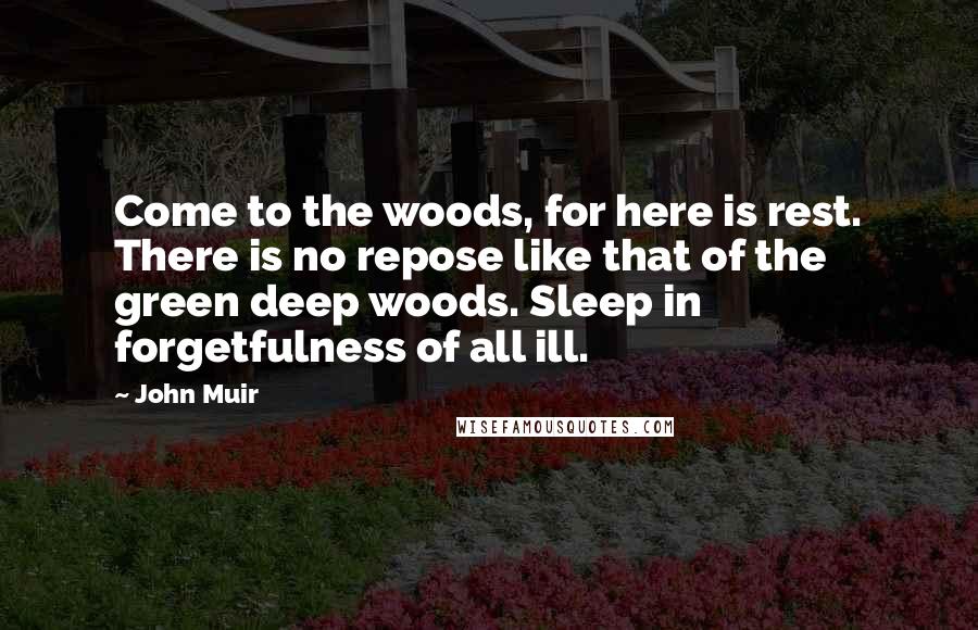 John Muir Quotes: Come to the woods, for here is rest. There is no repose like that of the green deep woods. Sleep in forgetfulness of all ill.