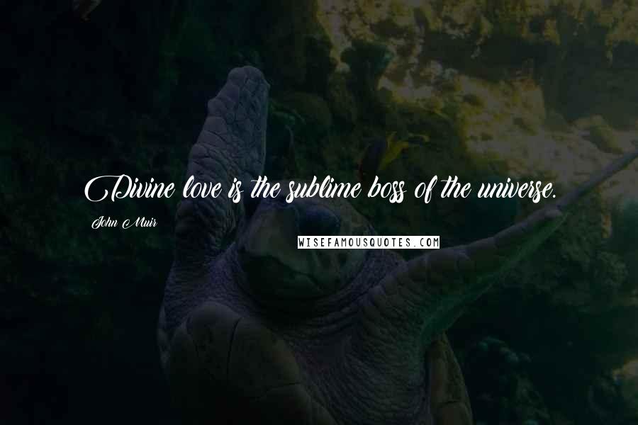 John Muir Quotes: Divine love is the sublime boss of the universe.
