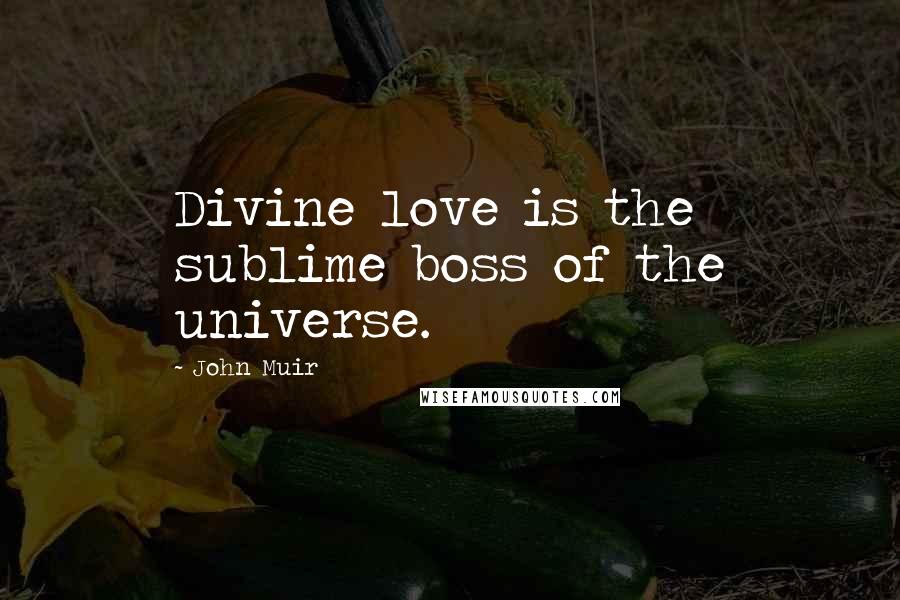 John Muir Quotes: Divine love is the sublime boss of the universe.