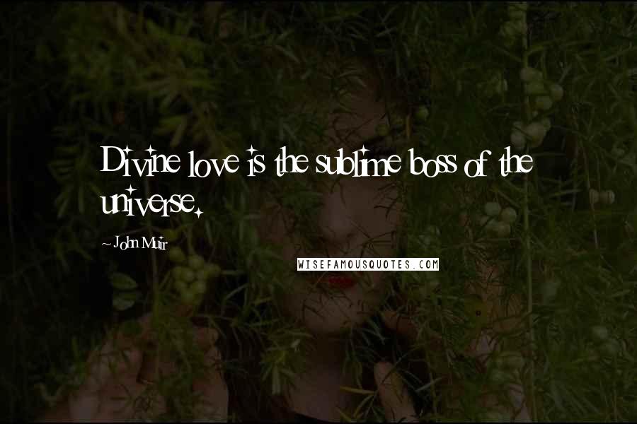 John Muir Quotes: Divine love is the sublime boss of the universe.