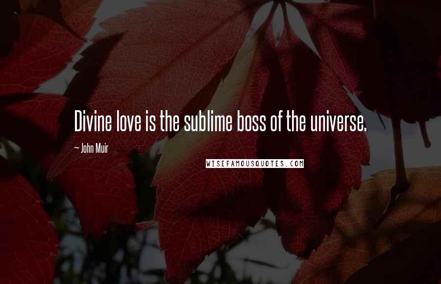 John Muir Quotes: Divine love is the sublime boss of the universe.