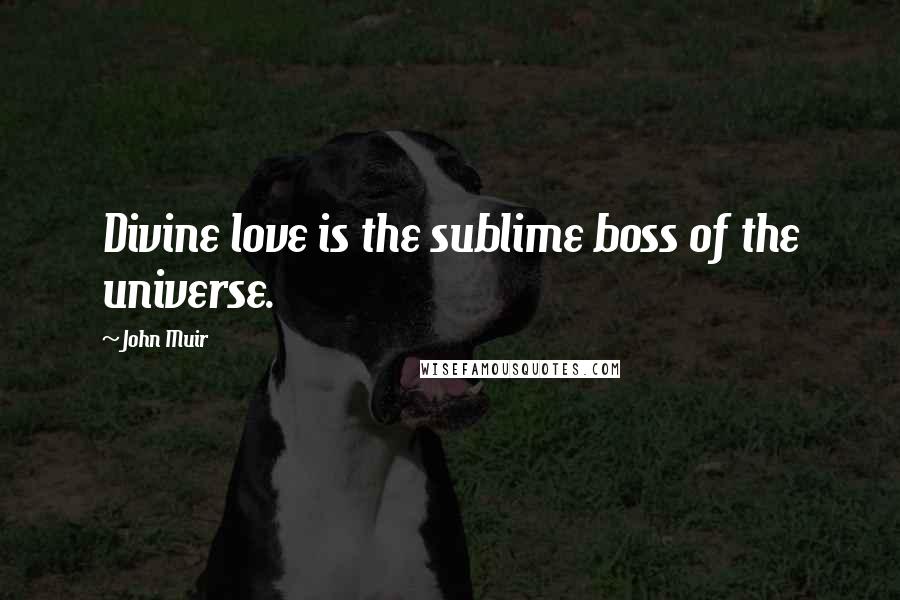 John Muir Quotes: Divine love is the sublime boss of the universe.