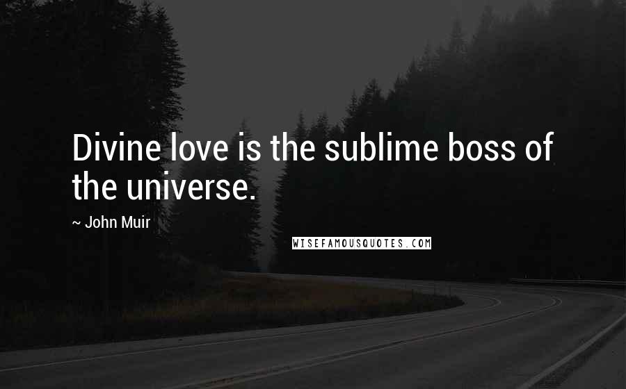 John Muir Quotes: Divine love is the sublime boss of the universe.