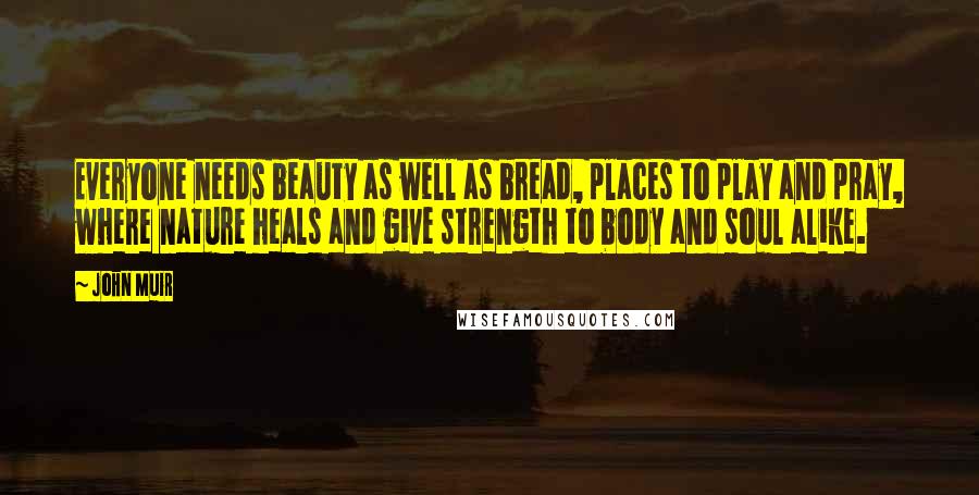 John Muir Quotes: Everyone needs beauty as well as bread, places to play and pray, where nature heals and give strength to body and soul alike.