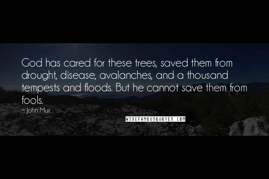 John Muir Quotes: God has cared for these trees, saved them from drought, disease, avalanches, and a thousand tempests and floods. But he cannot save them from fools.