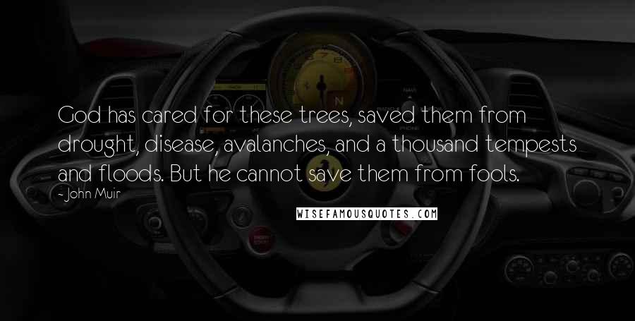 John Muir Quotes: God has cared for these trees, saved them from drought, disease, avalanches, and a thousand tempests and floods. But he cannot save them from fools.