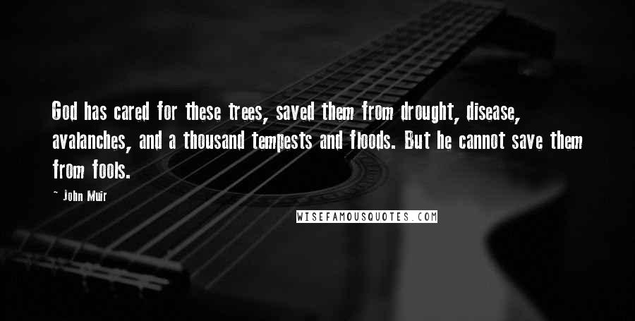 John Muir Quotes: God has cared for these trees, saved them from drought, disease, avalanches, and a thousand tempests and floods. But he cannot save them from fools.