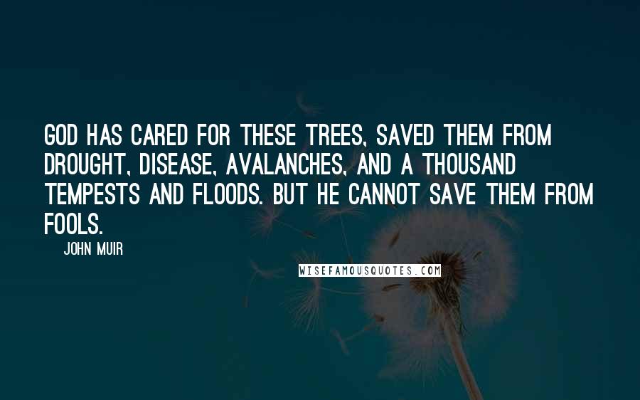 John Muir Quotes: God has cared for these trees, saved them from drought, disease, avalanches, and a thousand tempests and floods. But he cannot save them from fools.