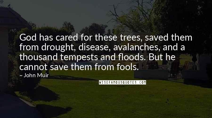 John Muir Quotes: God has cared for these trees, saved them from drought, disease, avalanches, and a thousand tempests and floods. But he cannot save them from fools.