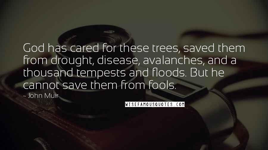 John Muir Quotes: God has cared for these trees, saved them from drought, disease, avalanches, and a thousand tempests and floods. But he cannot save them from fools.