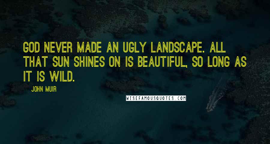 John Muir Quotes: God never made an ugly landscape. All that sun shines on is beautiful, so long as it is wild.