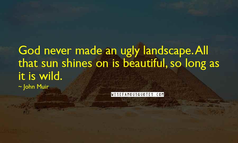 John Muir Quotes: God never made an ugly landscape. All that sun shines on is beautiful, so long as it is wild.