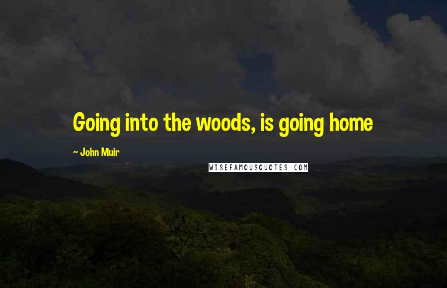 John Muir Quotes: Going into the woods, is going home