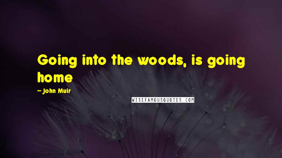 John Muir Quotes: Going into the woods, is going home