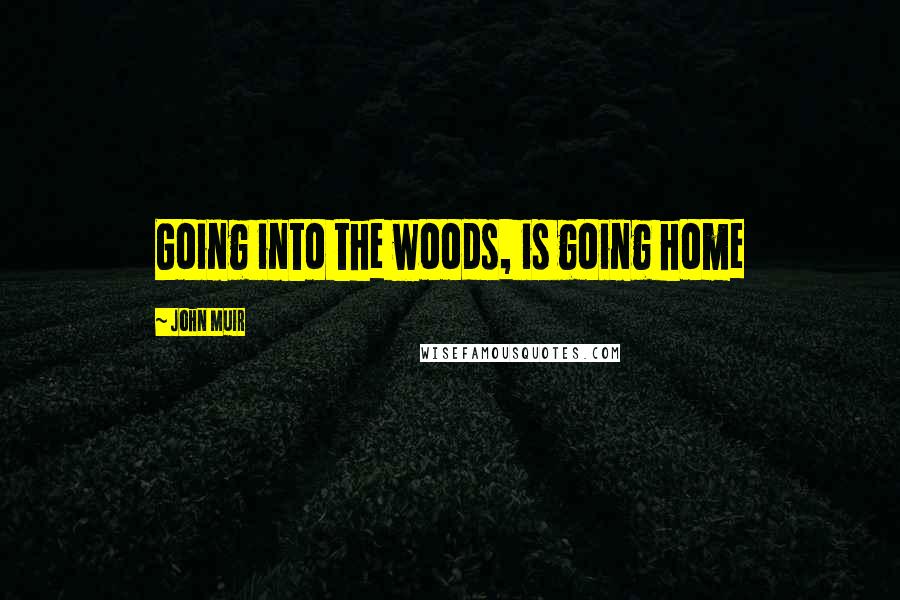 John Muir Quotes: Going into the woods, is going home