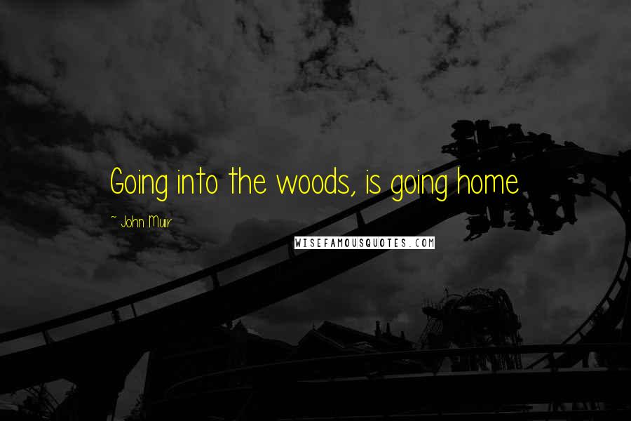 John Muir Quotes: Going into the woods, is going home