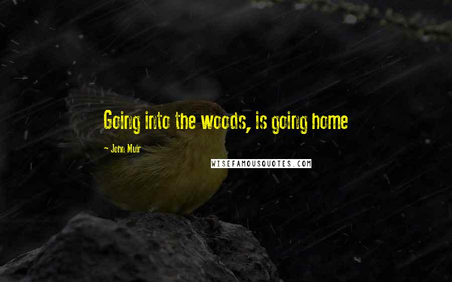 John Muir Quotes: Going into the woods, is going home