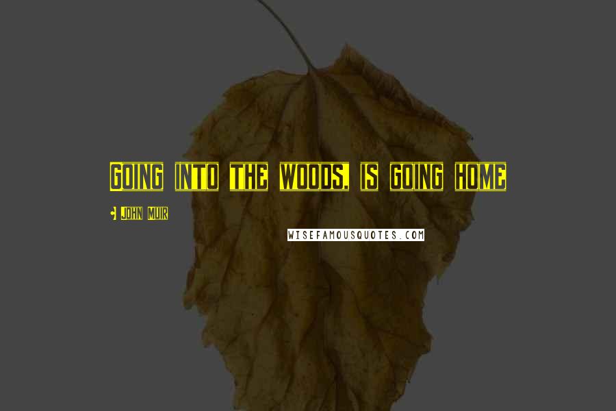 John Muir Quotes: Going into the woods, is going home