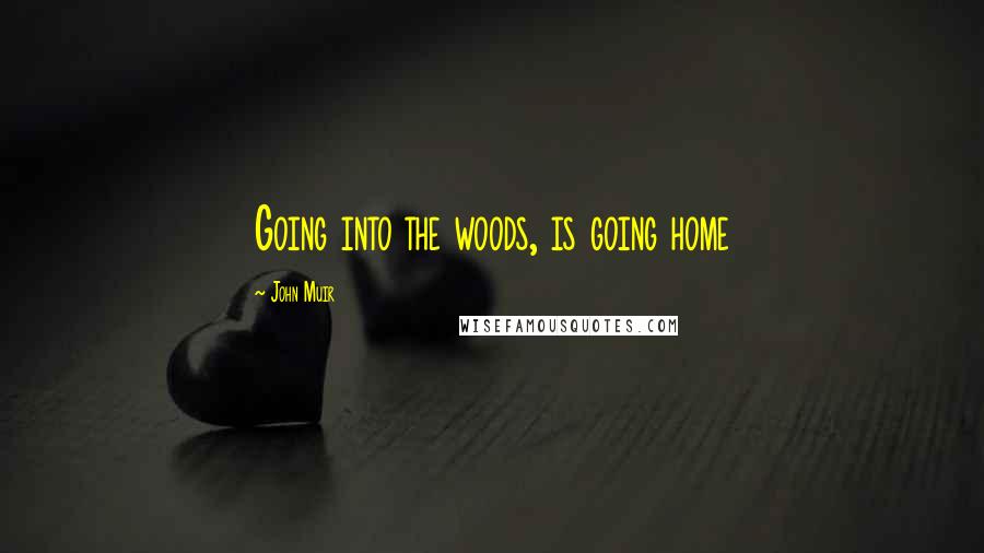 John Muir Quotes: Going into the woods, is going home