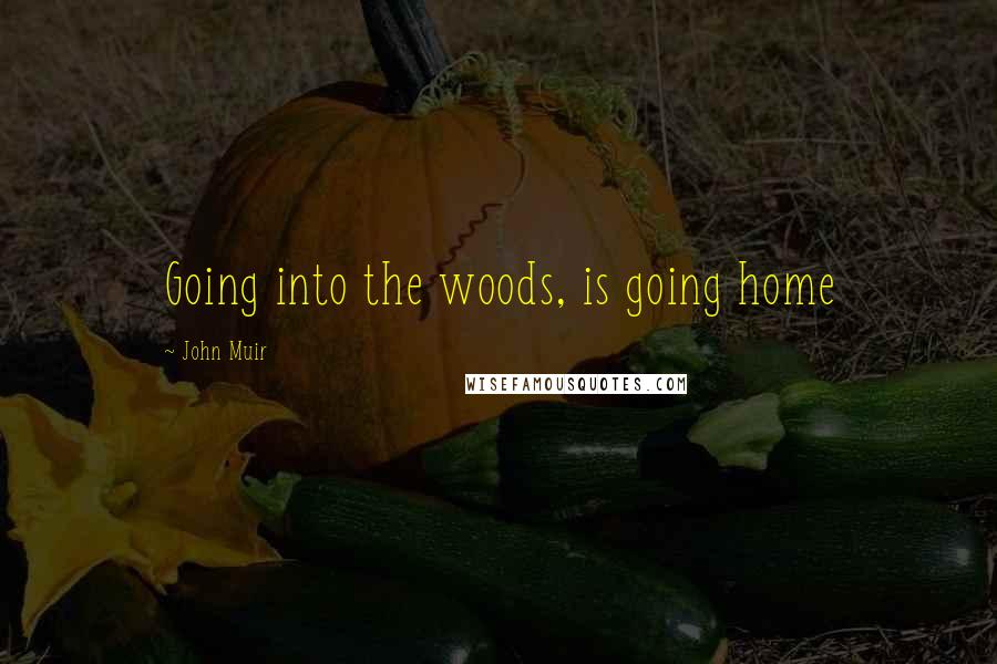 John Muir Quotes: Going into the woods, is going home