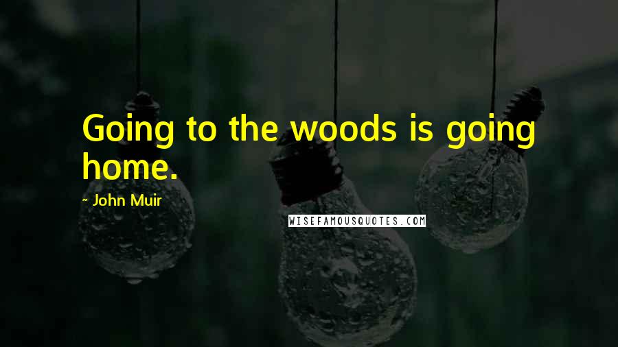 John Muir Quotes: Going to the woods is going home.