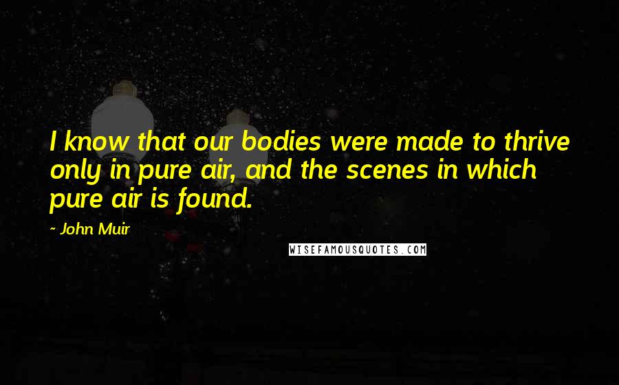 John Muir Quotes: I know that our bodies were made to thrive only in pure air, and the scenes in which pure air is found.