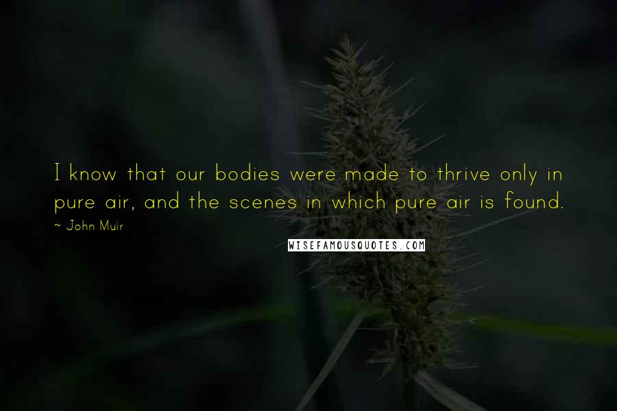 John Muir Quotes: I know that our bodies were made to thrive only in pure air, and the scenes in which pure air is found.