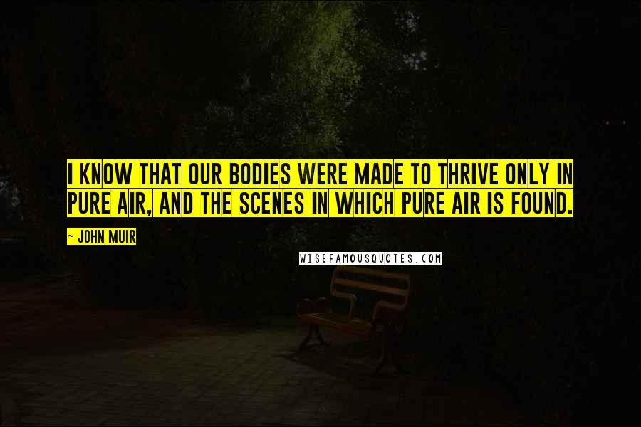 John Muir Quotes: I know that our bodies were made to thrive only in pure air, and the scenes in which pure air is found.