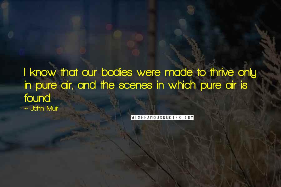 John Muir Quotes: I know that our bodies were made to thrive only in pure air, and the scenes in which pure air is found.