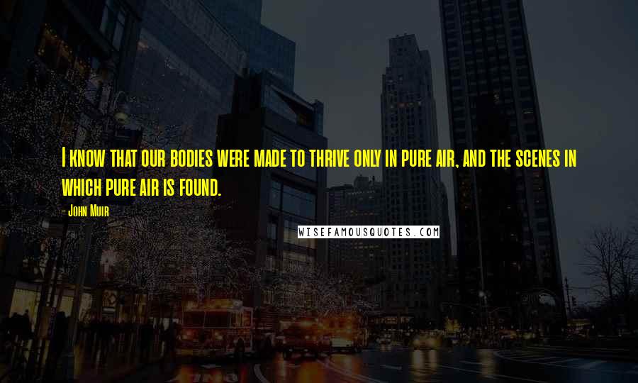 John Muir Quotes: I know that our bodies were made to thrive only in pure air, and the scenes in which pure air is found.