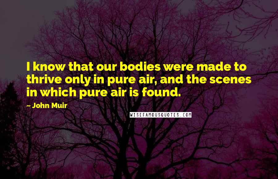 John Muir Quotes: I know that our bodies were made to thrive only in pure air, and the scenes in which pure air is found.