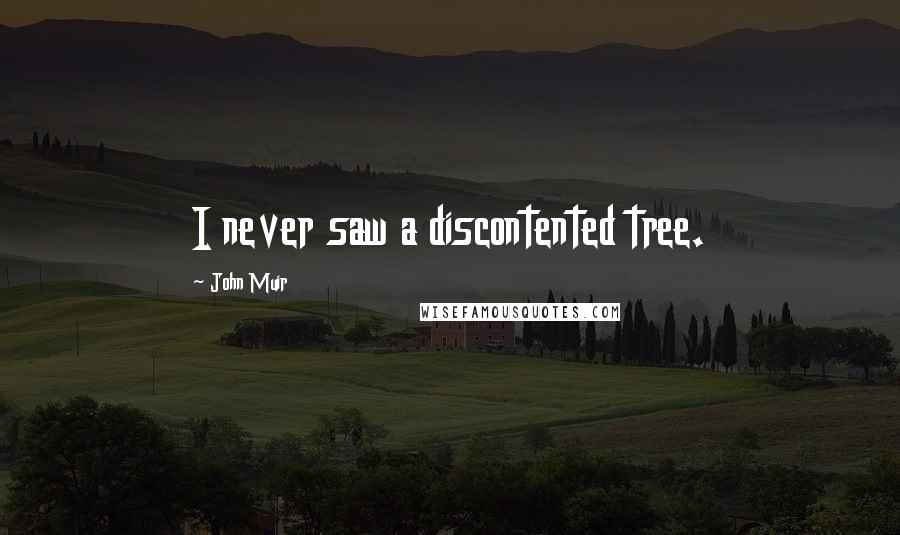 John Muir Quotes: I never saw a discontented tree.