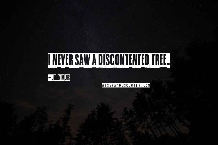 John Muir Quotes: I never saw a discontented tree.
