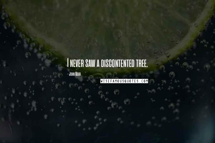 John Muir Quotes: I never saw a discontented tree.