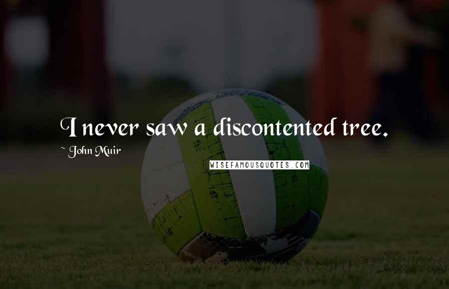 John Muir Quotes: I never saw a discontented tree.