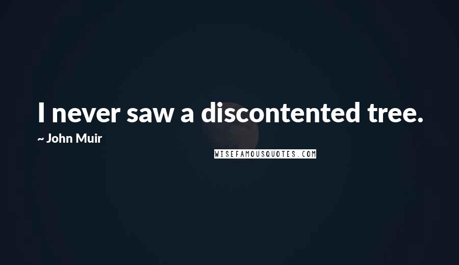 John Muir Quotes: I never saw a discontented tree.