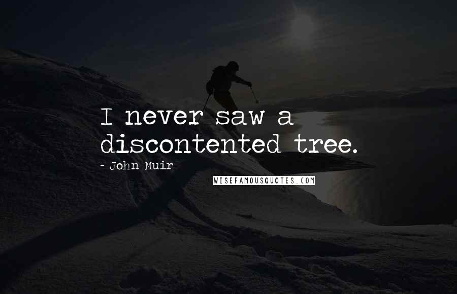 John Muir Quotes: I never saw a discontented tree.