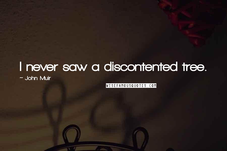 John Muir Quotes: I never saw a discontented tree.