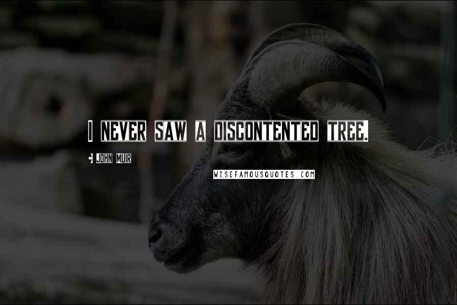 John Muir Quotes: I never saw a discontented tree.