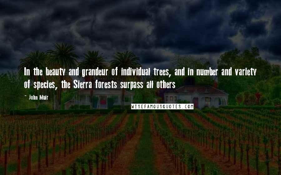 John Muir Quotes: In the beauty and grandeur of individual trees, and in number and variety of species, the Sierra forests surpass all others